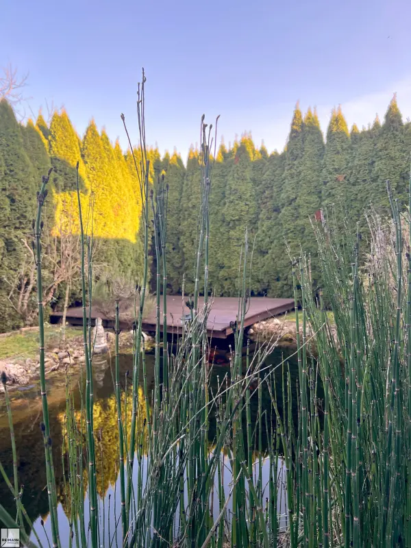 Exklusives, freistehendes Einfamilienhaus mit mediterranem Charme in Boppard-Buchenau